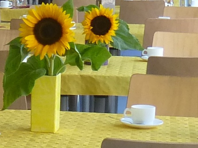 Tischreiehn mit Sonnenblumen und Kaffeetassen. (Bild: LWL)