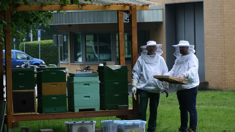 Zwei Männer in weißer Schutzkleidung arbeiten an Bienenstöcken, im Hintergrund ist eine Klinikpforte zu sehen