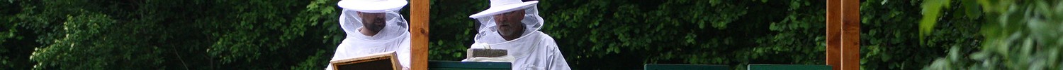 Zwei Männer mit Imkerhut arbeiten an einem Holzgestell mit Bienenstöcken. (Bild: LWL/SchuFi)